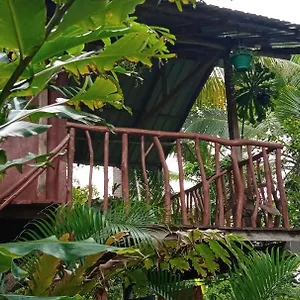Sigiri Panaromic Tree House Sigirîya